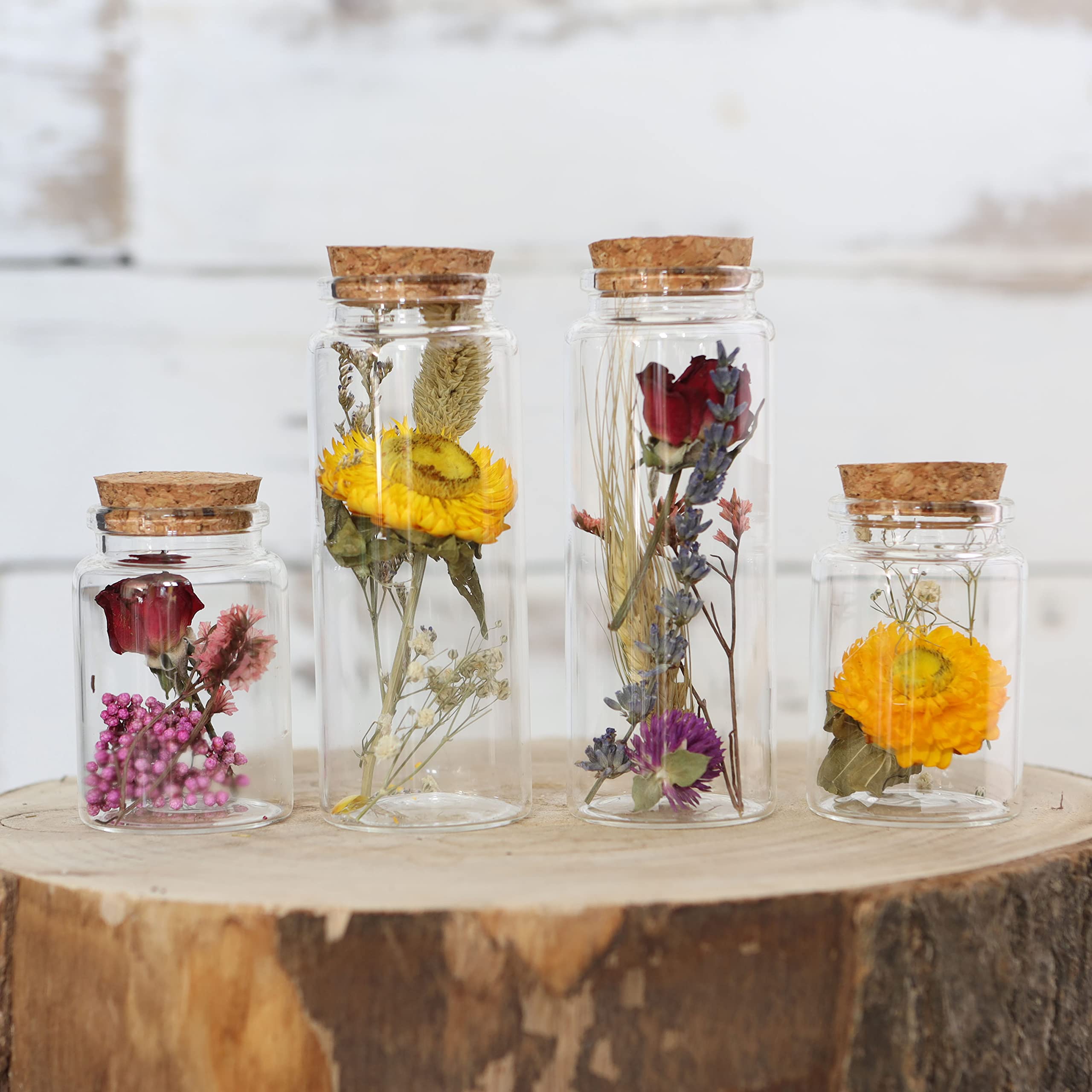 Comforder Dried Flowers in Glass Vase w Cork, Set of 4, Dried Flower Decorations in Glass Bottle (colourful)