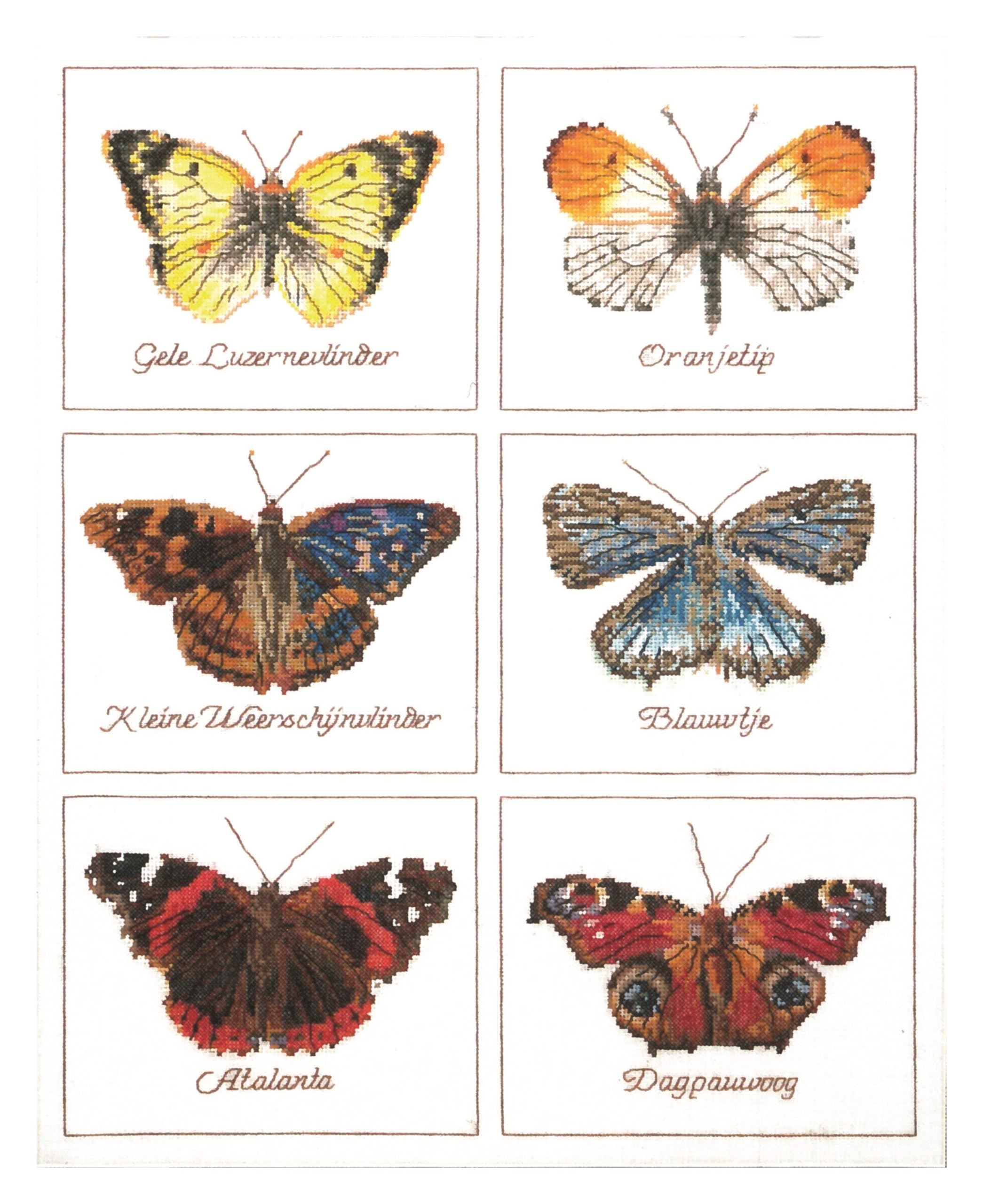 Thea Gouverneur - Counted Cross Stitch Kit - Butterflies - Aida - 16 Count - Embroidery Kit for Adults - DMC Embroidery Threads and Other Cross Stitch Supplies Included - 2037A