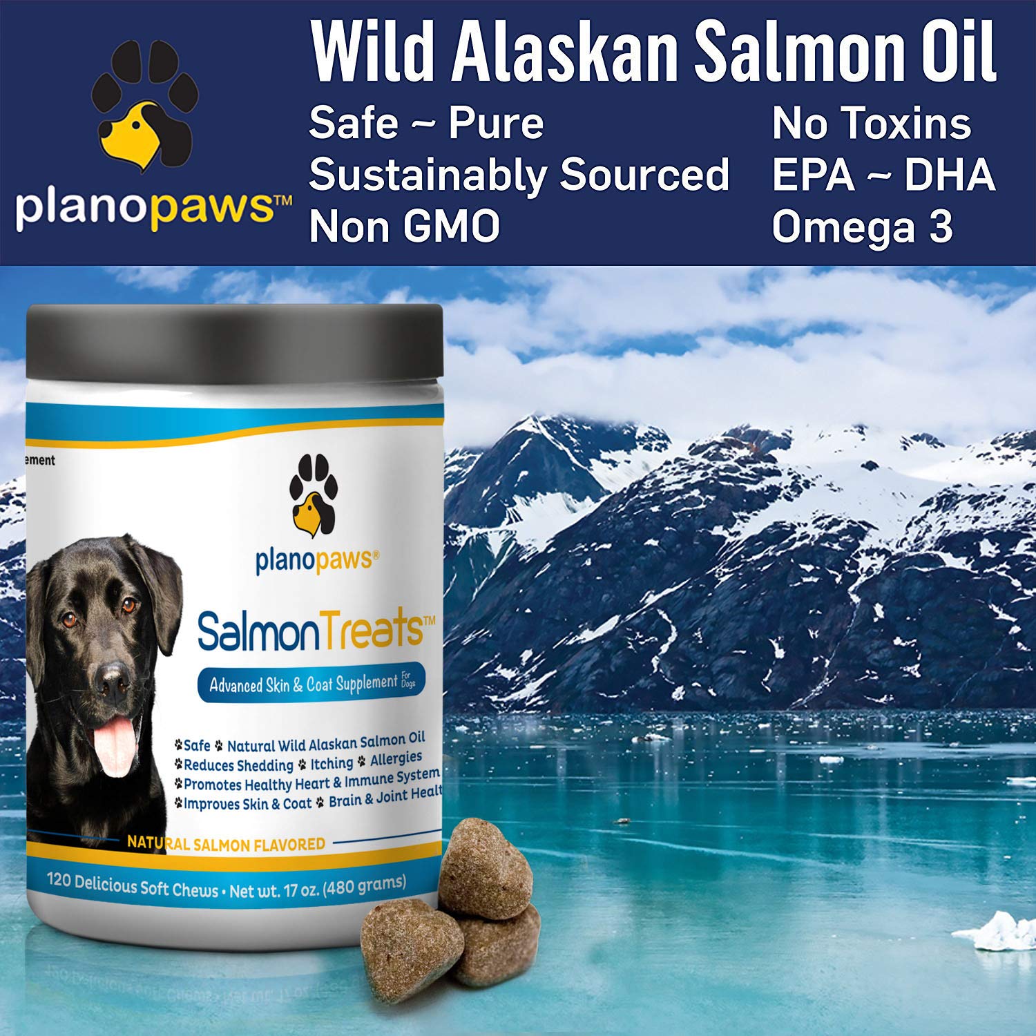 plano paws salmon chews
