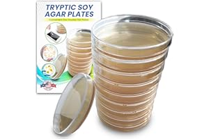 ES EVVIVA SCIENCES Tryptic Soy Agar (TSA) Plates by Evviva Sciences - Prepoured TSA Petri Dishes - Excellent Product and Performance - Top Science Kit for Science Fair Projects- Intended for Ages 15 & Older