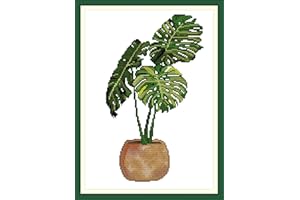 CaptainCrafts Cross Stitch Kits, Stamped Cross Stitch Kits Printed Fabric Cross Stitch DIY Needlework Embroidery Kit House Decor Monstera deliciosa (Printed 14CT)