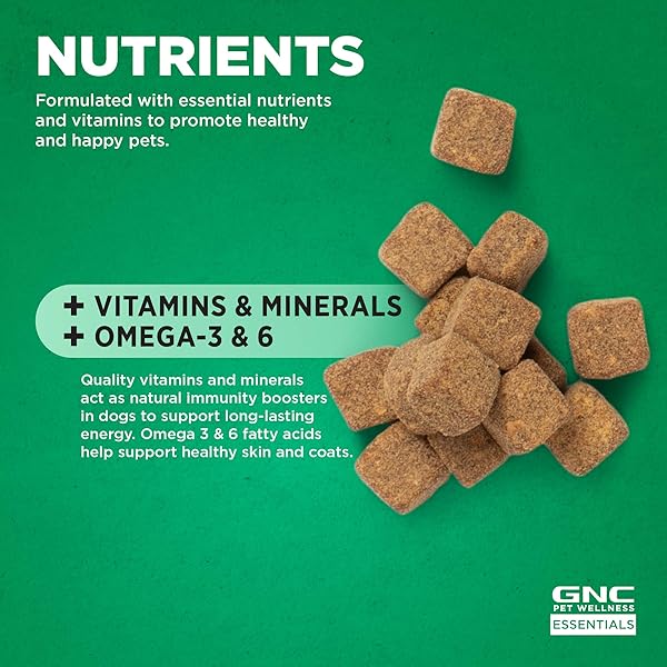 GNC PETS ESSENTIALS DOG MULTIVITAMIN SOFT CHEWS WITH SALMON OIL, BACON FLAVOR DAILY VITAMIN AND MINERAL SUPPLEMENT FOR PUPPIES, ADULT AND SENIOR DOGS, SKIN COAT AND IMMUNE SUPPORT, 60 COUNT