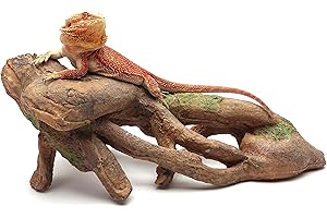 CAROLINACUSTOMCAGES Gnarled Large Root, Brown, Reptile Habitat Accessory