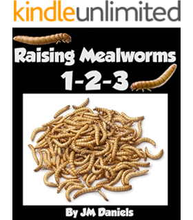 Cricket Breeding Made Easy Your Guide To Raising Healthy Feeder