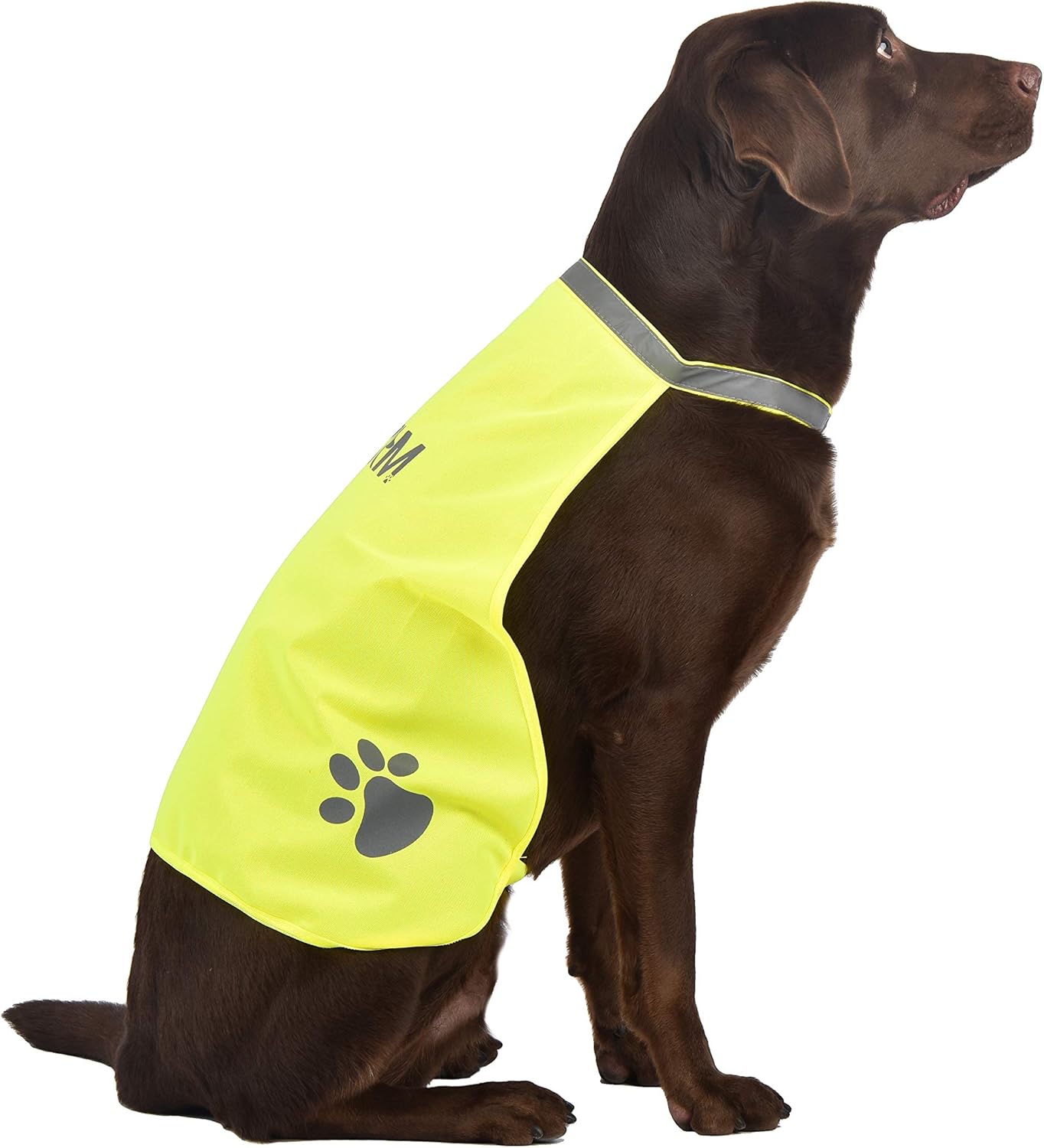 rachael ray indoor complete