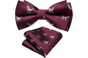 YOHOWA Boy Kids Bow Ties Pre-tied Silk Bow Tie Soild Paisley Handkerchief Set Adjustable Elegant Wedding Party