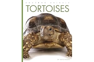 Tortoises (Amazing Animals)