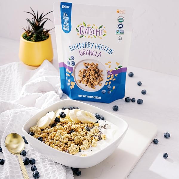 OATSOME BLUEBERRY PROTEIN GRANOLA, 10G PROTEIN, GLUTEN FREE, MADE WITH WHOLE GRAIN ORGANIC OATS, REAL BLUEBERRIES, & HEMP SEEDS, FOR PROTEIN SNACKS CEREALS BREAKFAST YOGURT, 10 OZ BAG