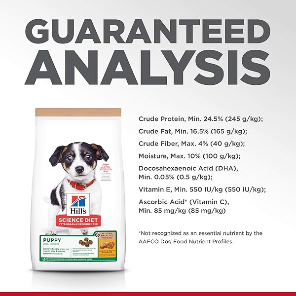 HILL’S SCIENCE DIET PUPPY, PUPPY PREMIUM NUTRITION, DRY DOG FOOD, NO CORN, WHEAT, SOY CHICKEN & BROWN RICE, 4 LB BAG