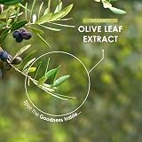 ALPHA01 Organic Olive Leaf Extract 7500mg 20% Oleuropein 60 Veg Capsules view 4