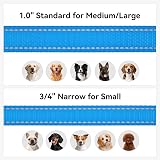 Joytale Padded Handle Dog Lead Double-Sided Reflective Nylon 1.2m SkyBlue view 6