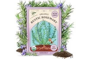 Seedboy Organic Rosemary Seeds for Planting Indoor and Outdoor, Non-GMO and USDA Certified Herb Seed Packet for Hydroponic Garden Indoor or Planting Outdoors (Rosemary)