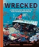 Wrecked: A Deep Dive into the World's Most Famous