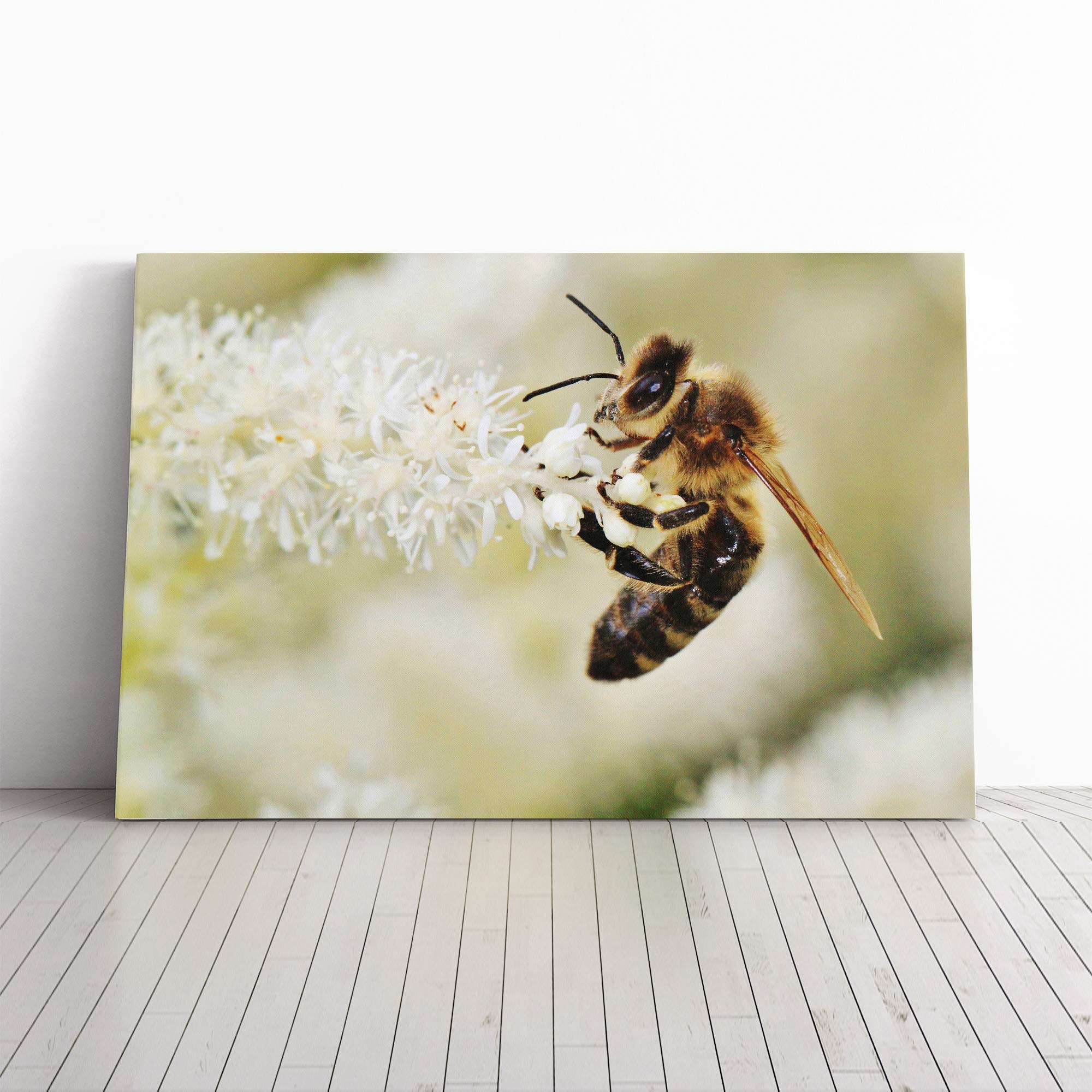 Bumble Bee Collecting Pollen (2) Canvas Print | Gallery Wrapped 30mm Frame Wall Art | 20x14 inches | Ready to Hang | Modern Animals Picture | Living Room Bedroom Lounge Office