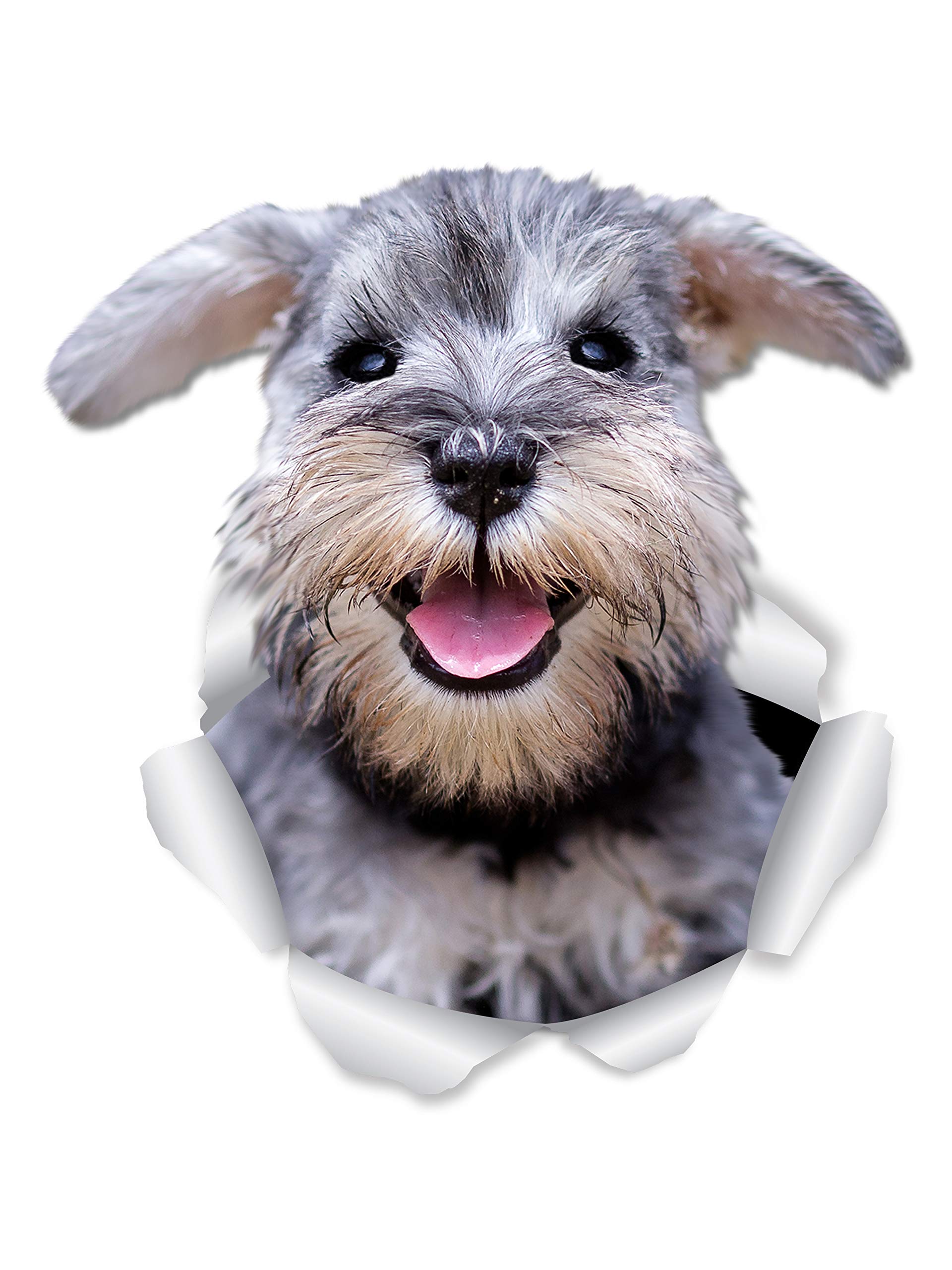 Winston & Bear Smiling Schnauzer Dog Wall Decals - 2 Pack - Mini Schnauzer 3D Sticker Decals for Walls, Cars, Toilet and More - Retail Packaged Schnauzer Gifts