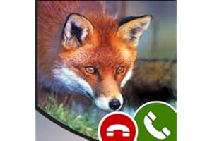 Fake call from Fox-Free Prank