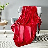 DREAMNINE Extra Soft Fuzzy Fleece Throw Blanket for Couch Sofa Chair 50" x 60", Decorative Solid Lightweight Fluffy Velvet Blankets,Cozy Accent Shaggy Plush Warm Flannel Blanket for Winter Bedroom,Red