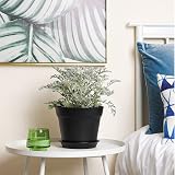 T4U 17cm Plastic Plant Pots 6-Pack with Saucers Black view 4