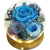 Valley of Rain & Forest Long-Lasting Real Flowers, Unique Floral Gift For you to send Love for All Occasions, for Indoor Decoration (Blue Rose, Grey & White-Blue Austin Roses)