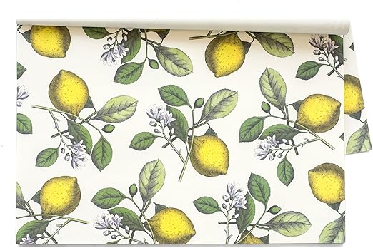 Amazon Com Kitchen Papers Lemons Disposable Placemats 24 Sheets