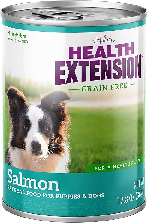 safest canned dog food