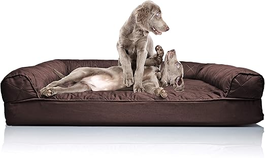 jumbo dog couch