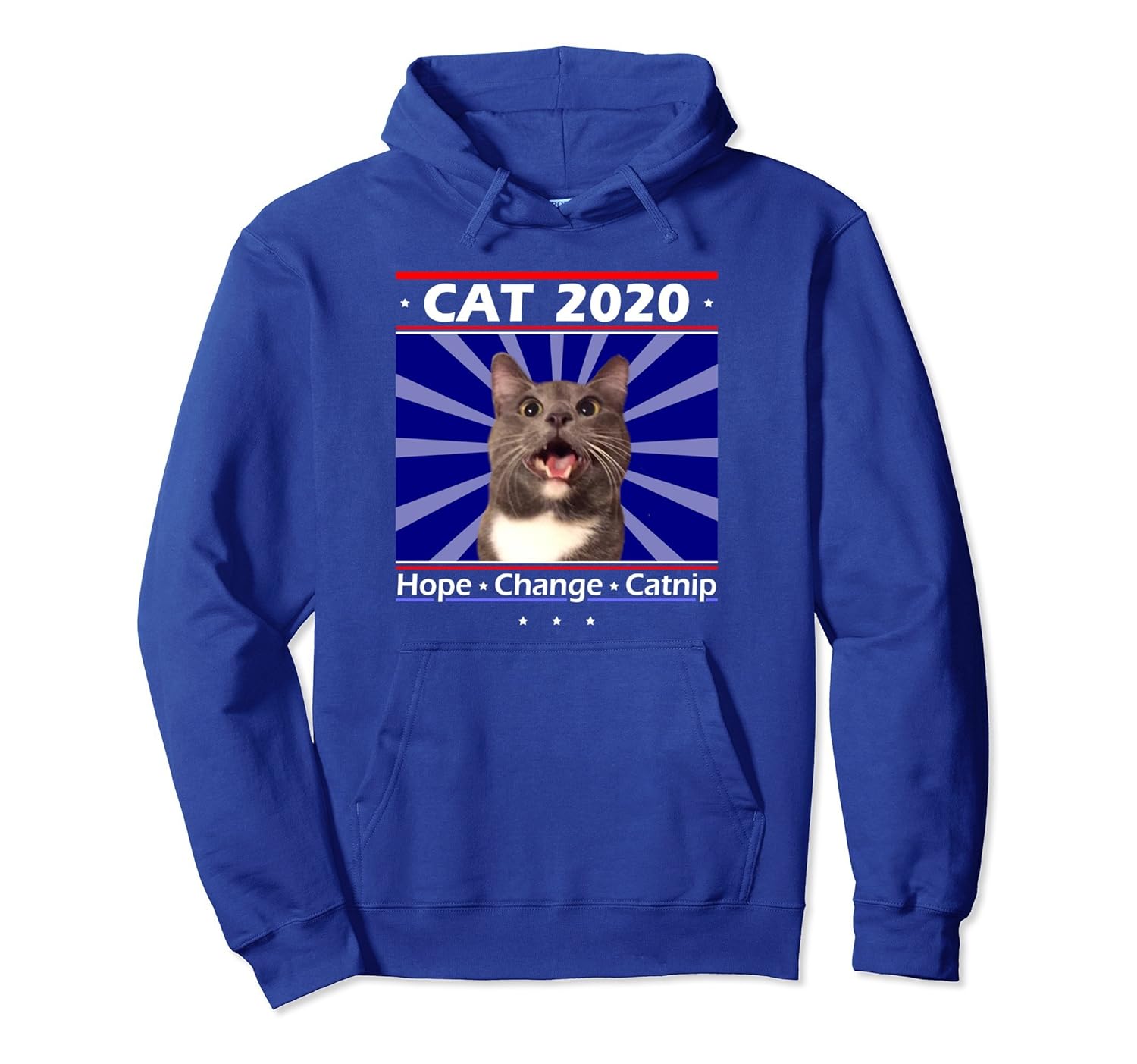 Funny Cat Hoodie | Vote 2020 Politics Sweatshirt-anz