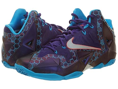 lebron 11 hornets