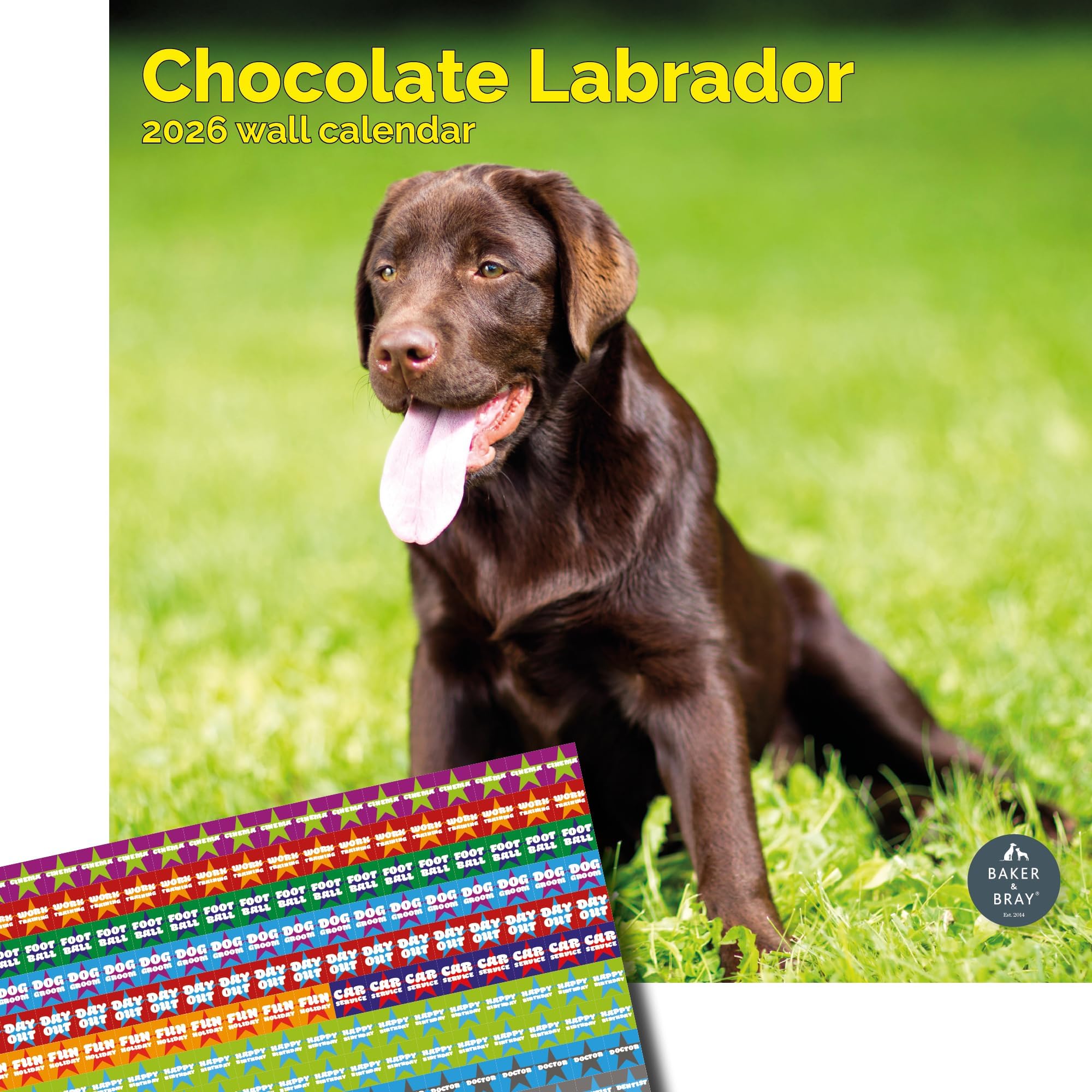 Baker and Bray Chocolate Labrador Calendar 2026, Large Square Wall Calendar With Organisational Stickers, 16 Month, Chocolate Labrador Gift Dog Calendar