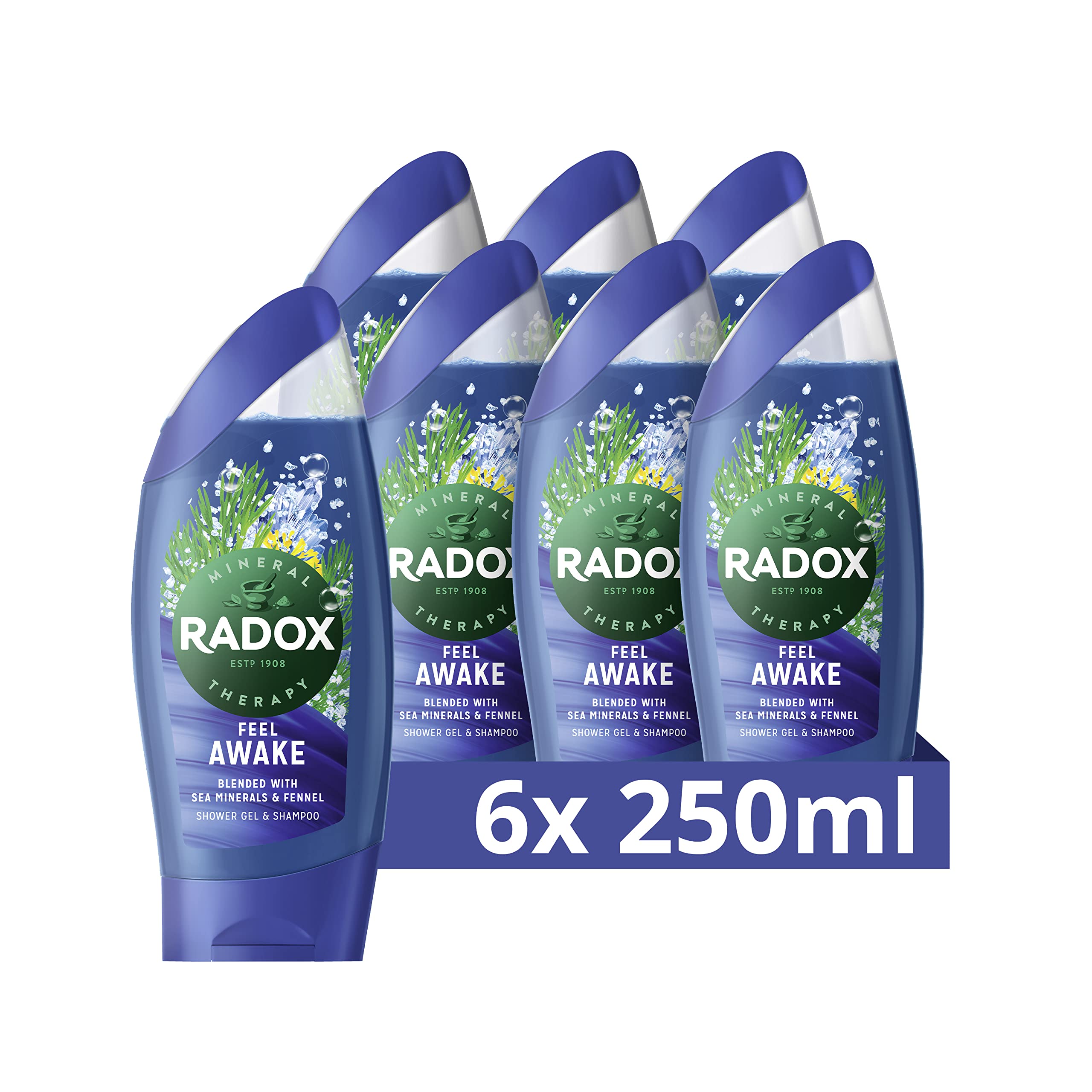 Radox Feel Awake for Men 100 Percent Nature Inspired Fragrance Shower gel for Awakening Shower Experience 250 ml Pack of 6