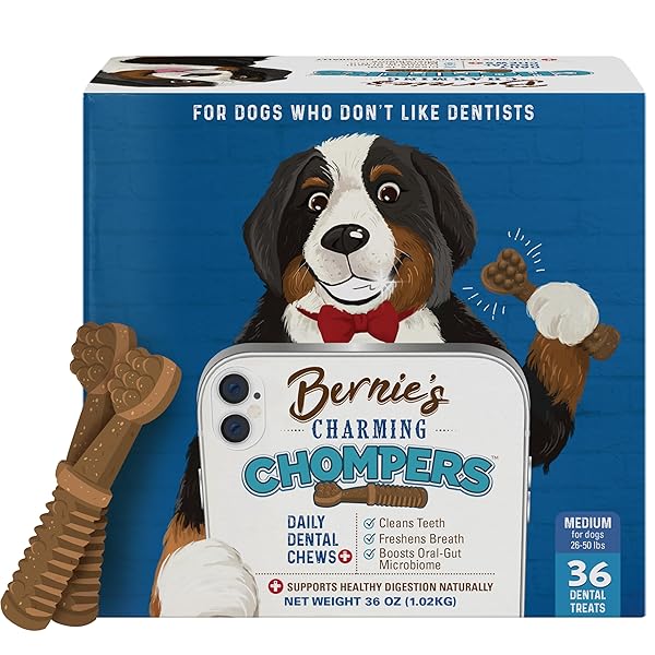 BERNIE’S CHARMING CHOMPERS – DAILY DENTAL CHEWS FOR DOGS 26-50 LBS. – 36 COUNT – CLEANS TEETH, FRESHENS BREATH, + BOOSTS ORAL-GUT MICROBIOME. EASY TO DIGEST, SUPPORTS HEALTHY DIGESTION NATURALLY
