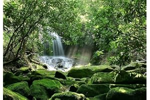 BANNERSNSTANDS Reptile Habitat, Terrarium Background,Sunny Green Trees with Waterfall & Mossy Rock (Various Sizes) (24" H x 36" W)