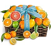 A Gift Inside Happy Birthday Sweet Sunshine Citrus Fruit Gift Basket
