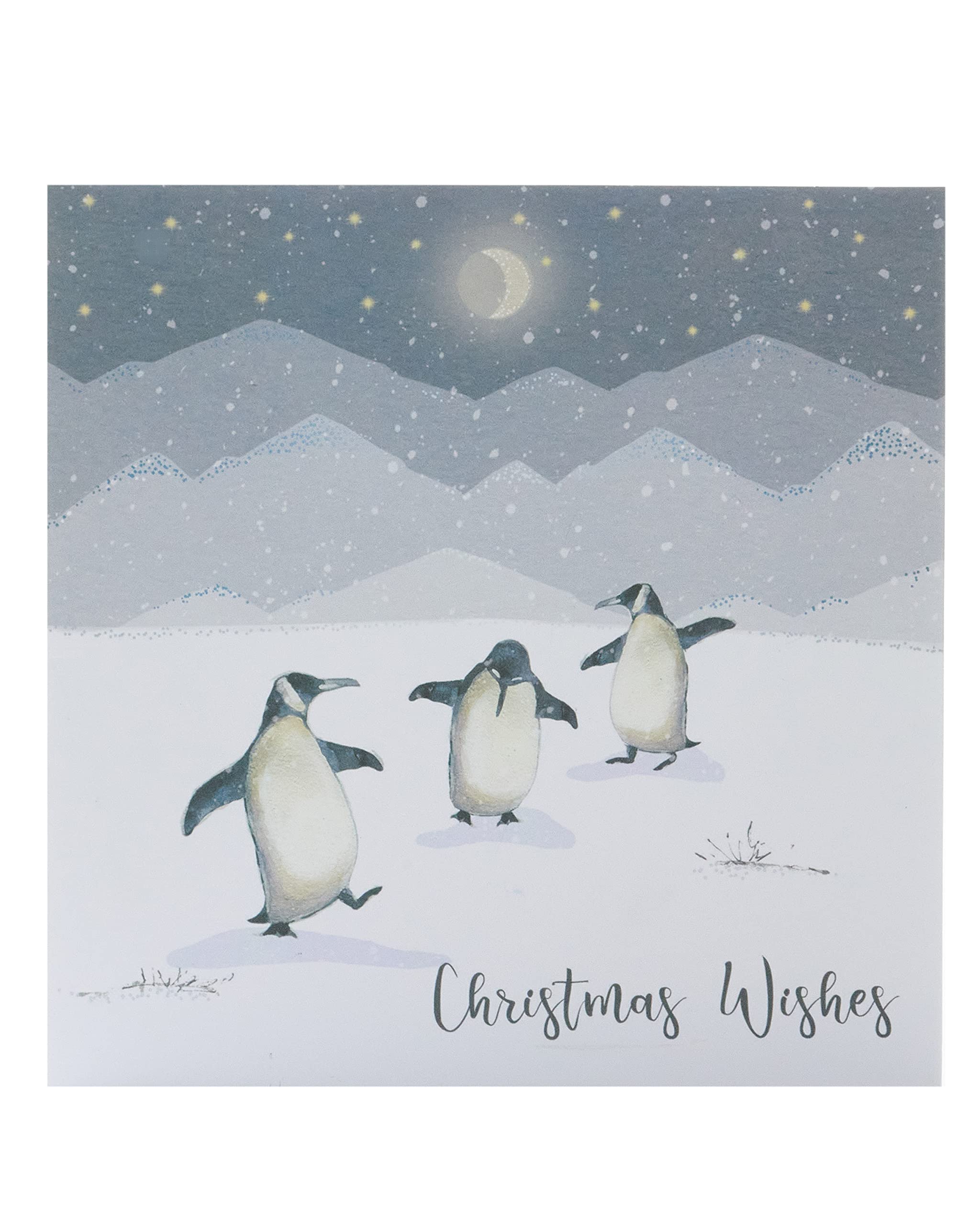 Pack of 8 Dancing Penguins Marie Curie Charity Christmas Cards Xmas Cards