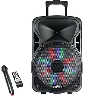 befree sound dual 12 inch subwoofer