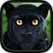 Wild Panther Sim 3D