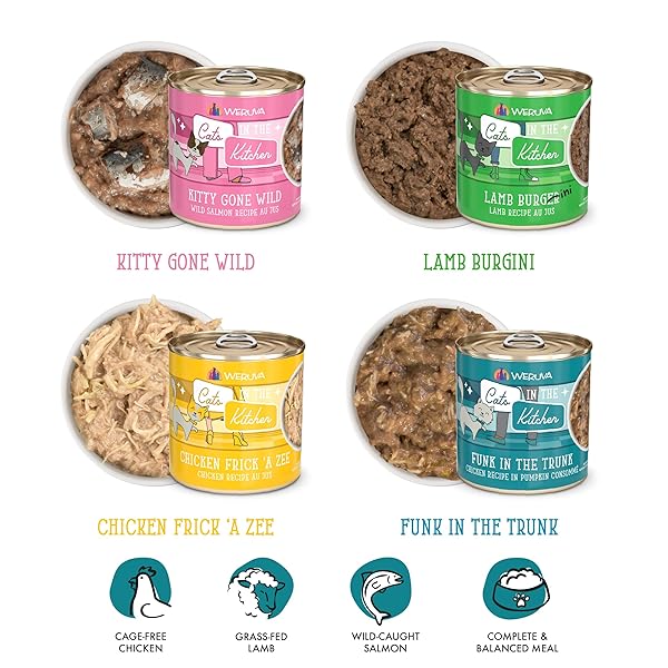 WERUVA CATS IN THE KITCHEN, KITCHEN CUTIES VARIETY PACK, WET CAT FOOD, 10OZ CANS (PACK OF 12)