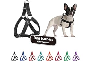 KRUZ PET Kruz No Pull Dog Harness (Chest 26”-38”, Weight 44-88 lbs) Heavy-Duty Pet Harness for Large Breeds, Ultra-Comfort Fit, Lifetime Durability, Adjustable Dog Harness No Pull Design (Black, Large)