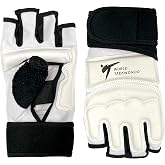 AAMA World Taekwondo Federation Approved Taekwondo Fighter Gloves