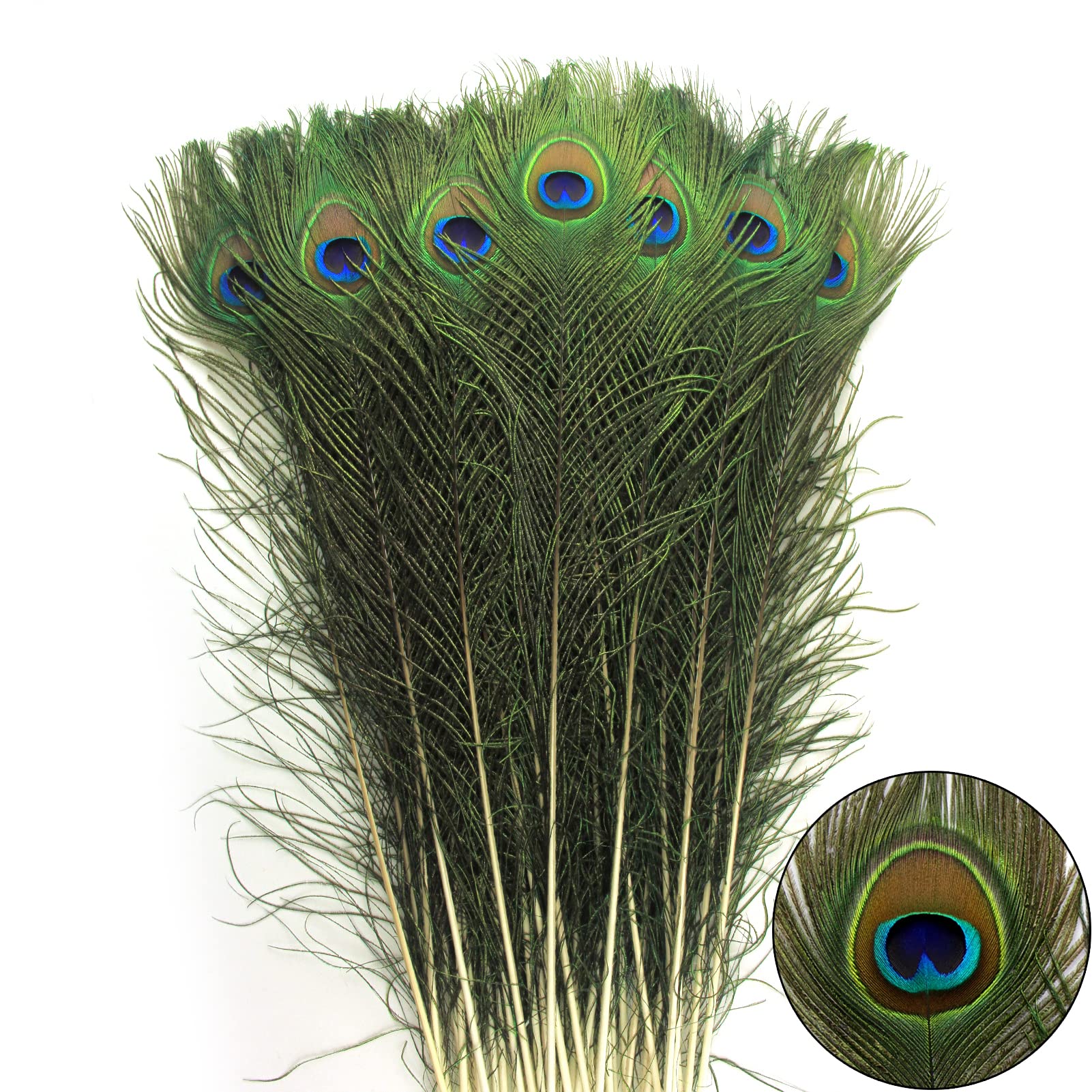 Photo 1 of THARAHT 40pcs Peacock Feathers Long Natural in Bulk 30-32 inch 75-80 cm for Vase Craft Vase Wedding Home Party Christmas Day Decoration Peacock Feathers