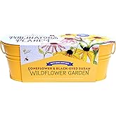 Buzzy Seeds Wildflower Garden Grow Kit, All-in-One Indoor Seed Starter Set with Non-GMO Mix of Coneflowers and Black Eyed Susans with a Decorative Planter - Great Gift for Gardeners, Gardening Project