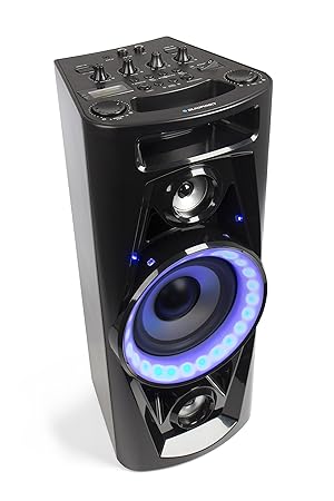 BLAUPUNKT PSK 1652 Party Lautsprecher, USB, Bluetooth, Aux In, UKW Radio, Mikrofon und Gitarren Anschluss,
