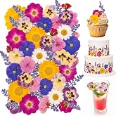 70 Pcs Real Dried Edible Flower, 11 Kinds Cake &amp; Cocktail Decoration | Food-grade Pressed Flowers, viola, rose, lavender, sakura, calendula and daisy for cocktails, desserts, garnishes.
