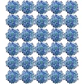 FagusHome Silk Hydrangea Heads 30 Pcs Artificial Flowers Only Heads No Stems Fake Hydrangea Flowers for Home Wedding Decor No Stems (Blue Purple)