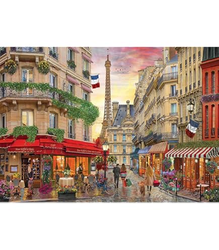 Amazon.com: Anatolian Puzzle - Seine Sunset, 1000 Piece