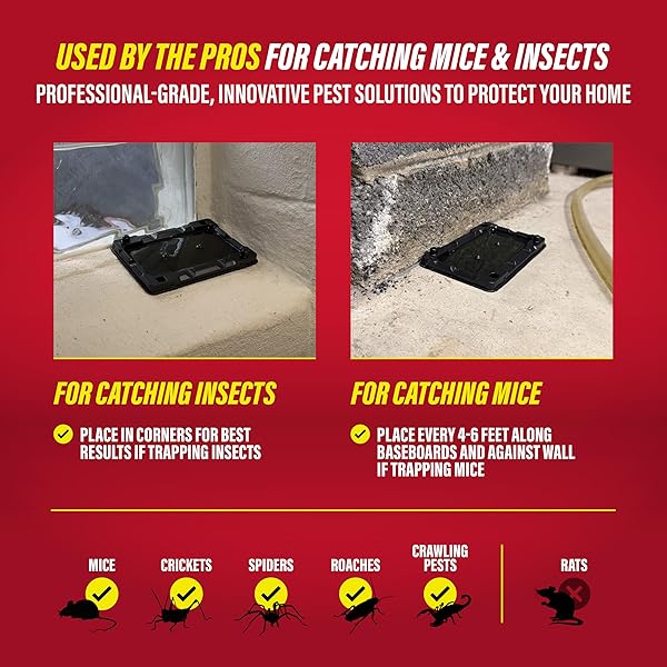 CATCHMASTER-40 MOUSE & INSECT GLUE TRAPS, HEAVY-DUTY PESTICIDE-FREE STICKY MOUSE TRAPS INDOOR FOR HOME, USED BY THE PROS, ADHESIVE RODENT & BUG CATCHER, PEST CONTROL FOR HOUSE & GARAGE