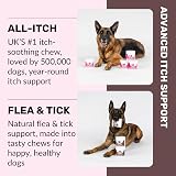 NutriPaw All-Itch Treats for Dogs - Flea & Tick Chews - Soothe Itching view 2