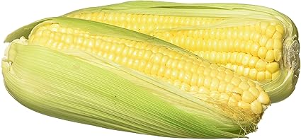 Fresh Sweet Corn, American, 2 Pieces Pack