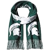 FOCO NCAA unisex-adult 2016 Big Logo Scarf