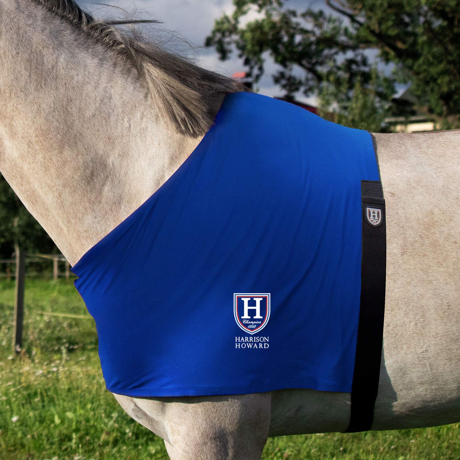 Harrison Howard Stretch Vest Anti Rub Bib Wither Shoulder Guard Horse Chest Saver Protector,Blue,Full (Large)
